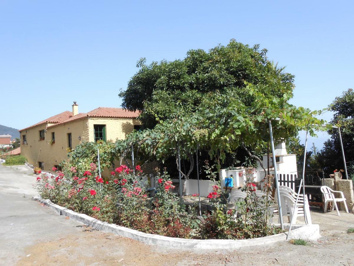 Casitas Las Uvas Y Las Vinas Los Realejos Exterior photo